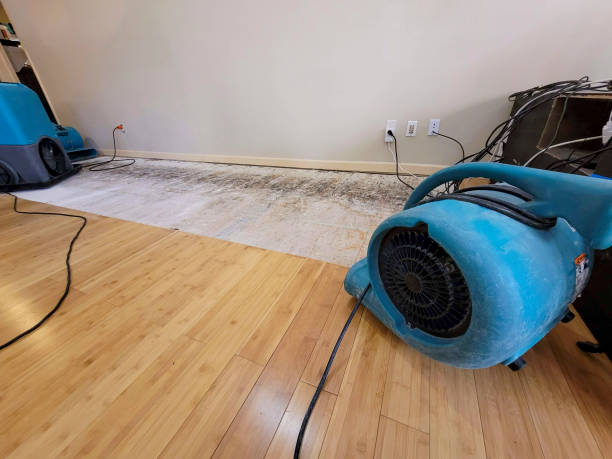 Reliable Flood Damage Restoration contractor in Folsom, CA by Hirex Water Damage