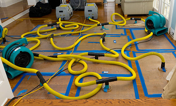 Professional Flood Damage Restoration technician working in Folsom, CA